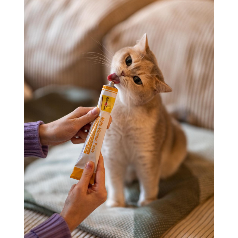 Мультивитаминная паста GimCat Every Day для кошек, 200 г