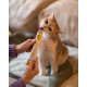 Мультивитаминная паста GimCat Every Day для кошек, 200 г