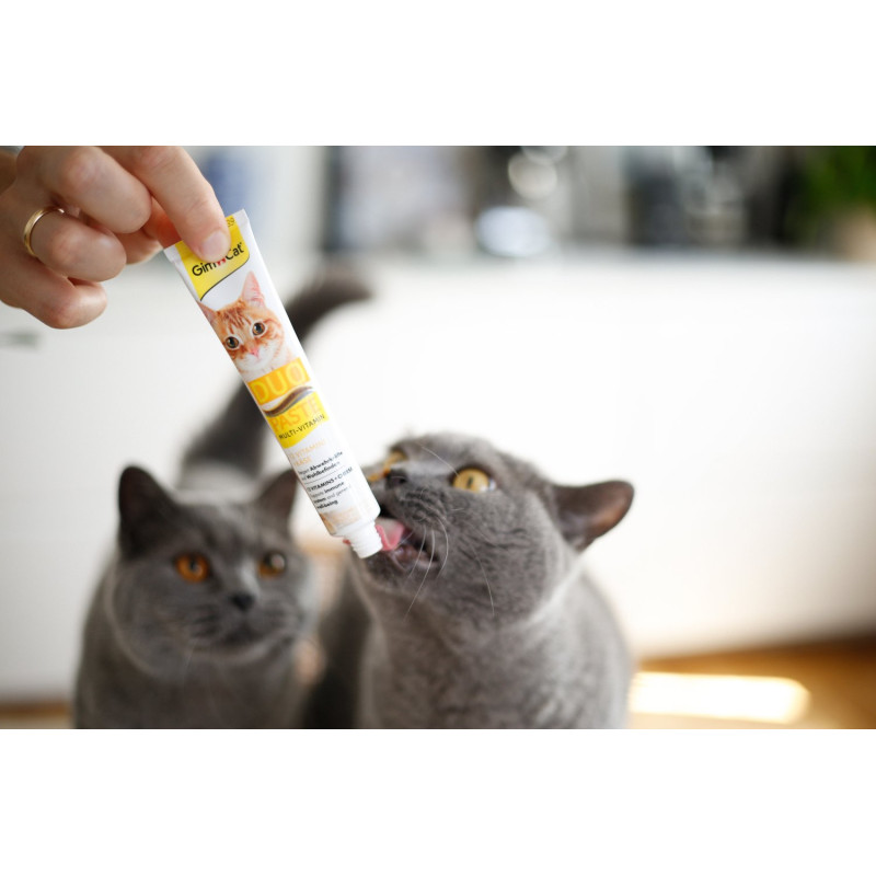 Паста для кошек GimCat DUO PASTE Multi-vitamin 12 vitamins with cheese 12 витаминов и сыр, 50 г