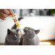 Паста для кошек GimCat DUO PASTE Multi-vitamin 12 vitamins with cheese 12 витаминов и сыр, 50 г