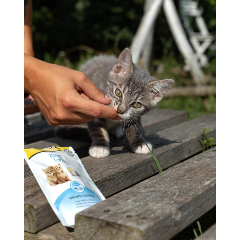 Витаминизированное лакомство GimCat Every Day Kitten для котят, 40 г