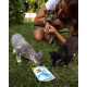Витаминизированное лакомство GimCat Every Day Kitten для котят, 40 г