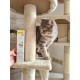 Витаминизированная паста GimCat Expert Line Kitten для котят, 50 г