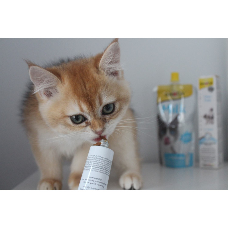 Витаминизированная паста GimCat Expert Line Kitten для котят, 50 г