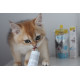 Витаминизированная паста GimCat Expert Line Kitten для котят, 50 г