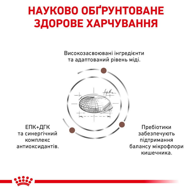 Сухой корм для котов ROYAL CANIN HEPATIC  для поддержания функции печени, 2 кг