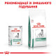 Влажный корм (паштет) для собак ROYAL CANIN DIABETIC для поддержания уровня сахара, 410 г