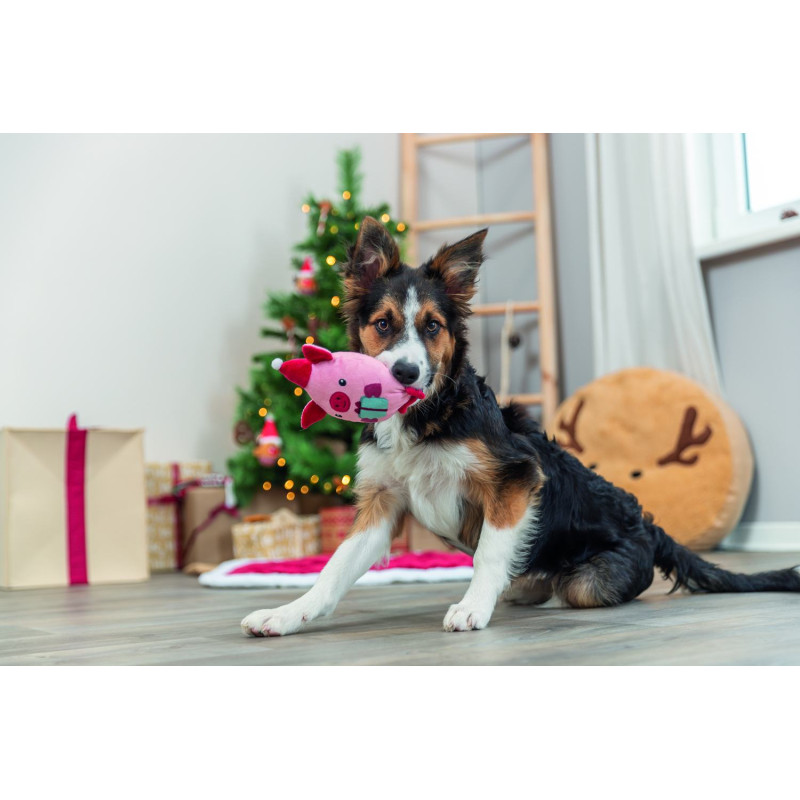 Іграшка Trixie для собак Різдвяна свинка, плюшева, 19 см