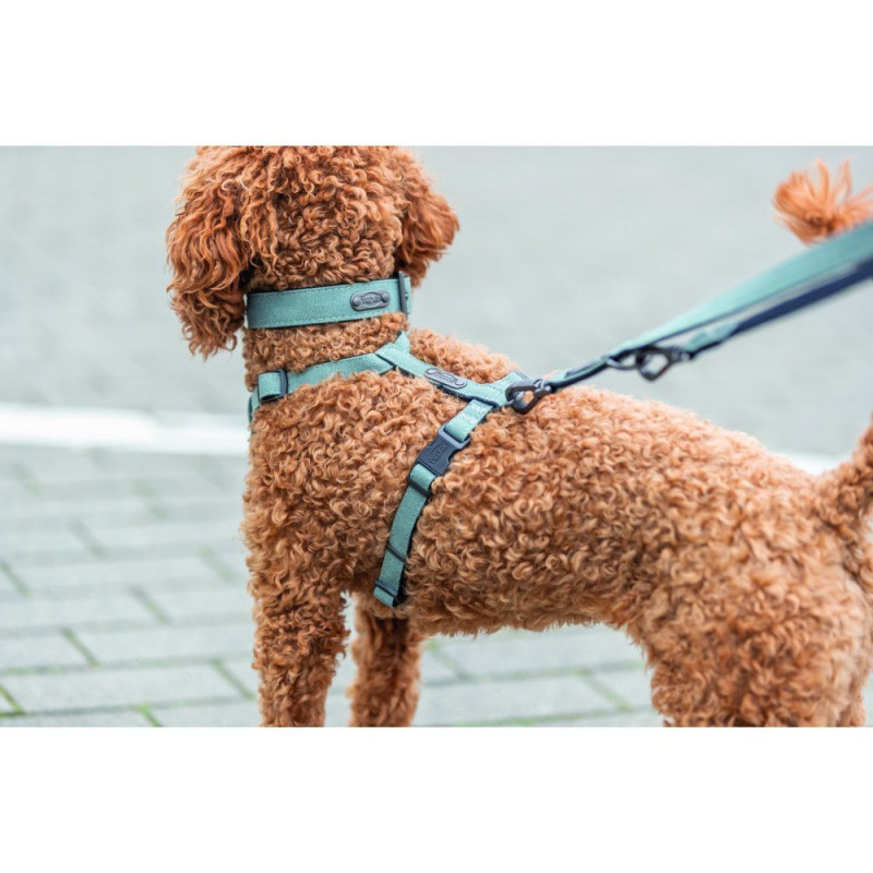 Шлея Trixie CityStyle H-harness для собак бавовна XS–S 30–44 см 10 мм світло-зелена
