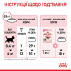 Влажный корм (в соусе) для котят ROYAL CANIN KITTEN INSTINCTIVE  - инстинктивная пища, 85 г