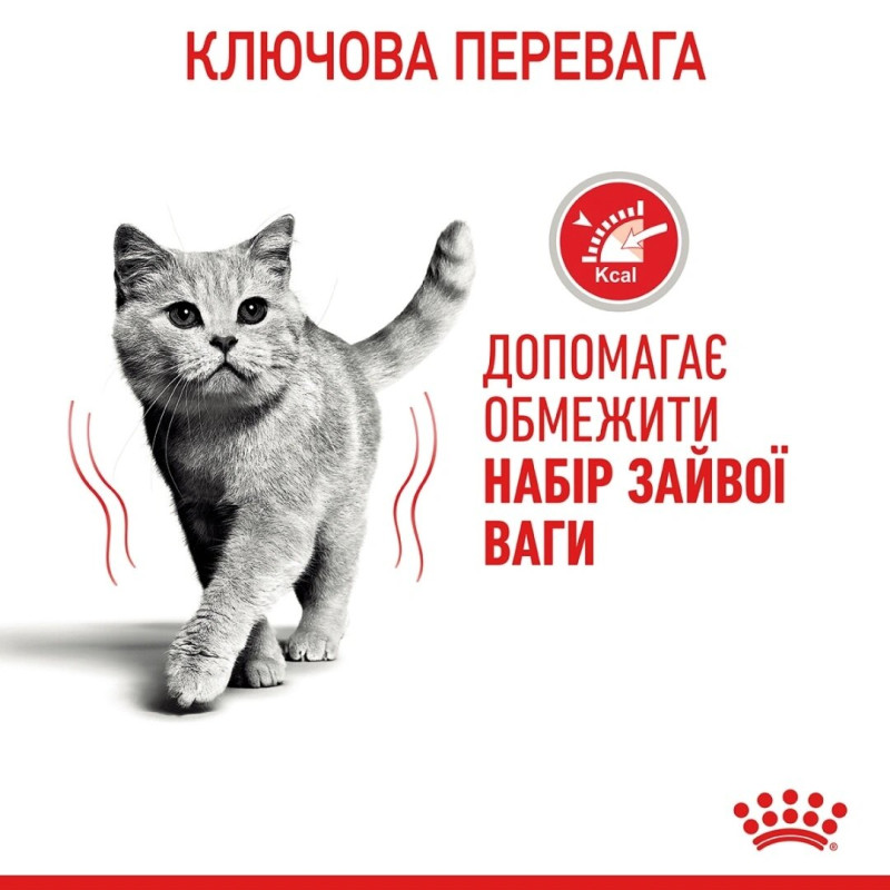Вологий корм для котів ROYAL CANIN LIGHT WEIGHT CARE зі схильністю до зайвої ваги, 85 г