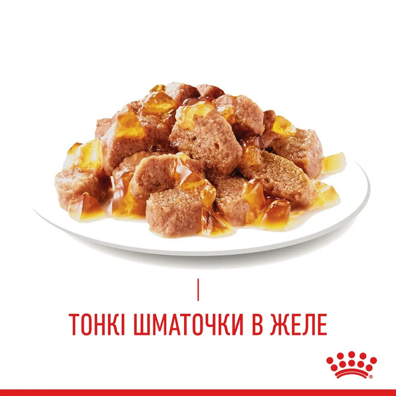 Влажный корм (в желе) для котов ROYAL CANIN HAIR & SKIN CARE  - поддержание здоровья кожи и блеска шерсти, 85 г