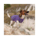 Жилет Pet Fashion «E.Vest» для собак, розмір XS, фіолетовий