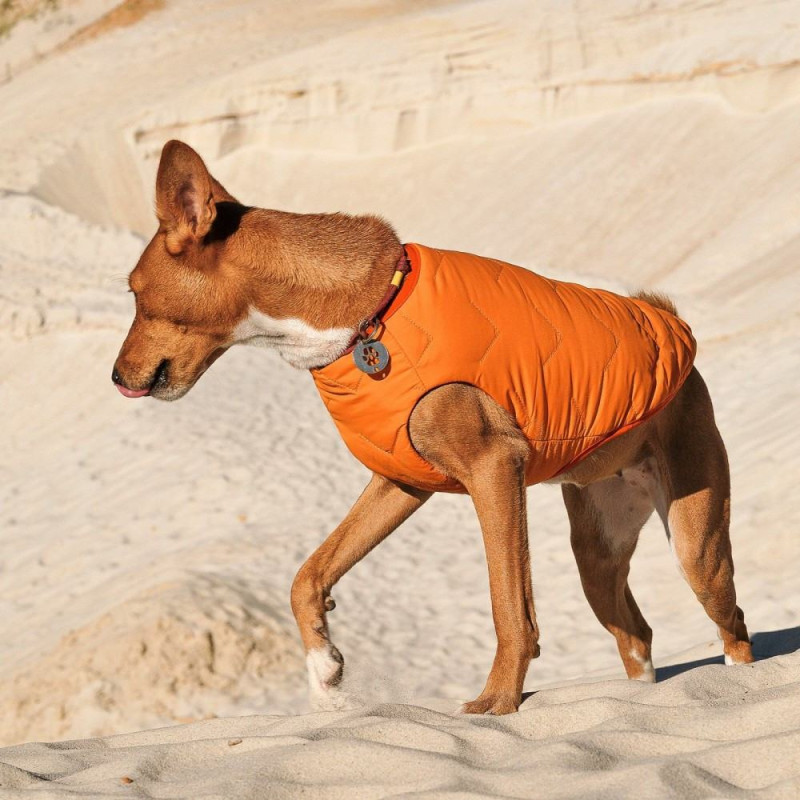 Жилет Pet Fashion «E.Vest» для собак, розмір XS2, помаранчевий
