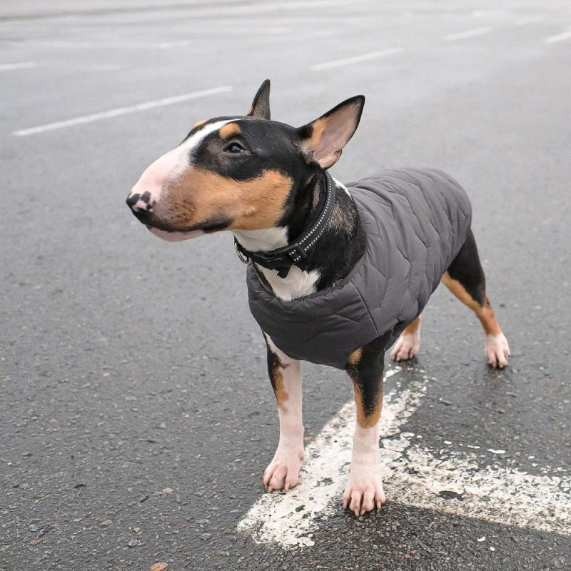 Жилет Pet Fashion «E.Vest» для собак, розмір M2, сірий