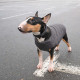 Жилет Pet Fashion «E.Vest» для собак, розмір M2, сірий