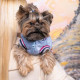Бомбер Pet Fashion «Spike» для собак, розмір XL, блакитний
