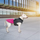 Попона Pet Fashion «Roy» для собак, розмір XL, малиново-сірий