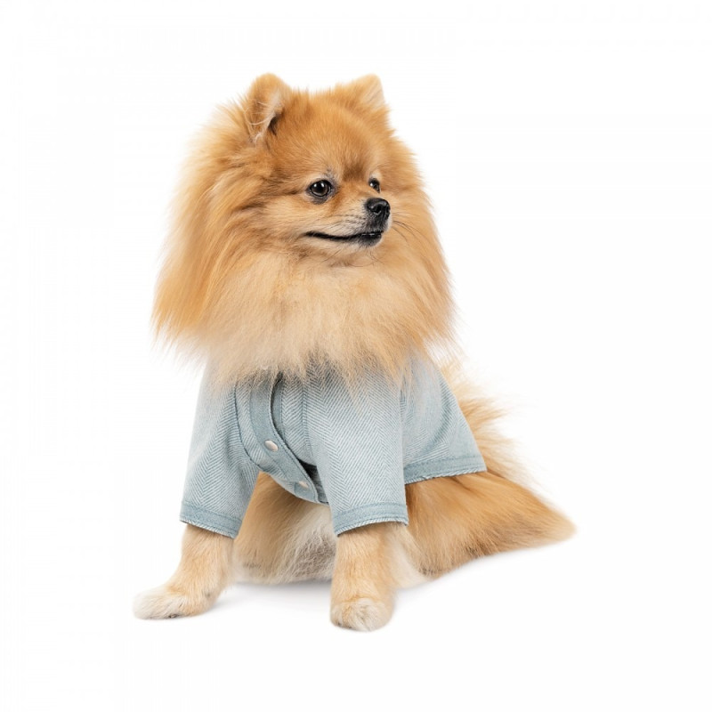 Кардиган Pet Fashion Denis для собак розмір XS м’ятний