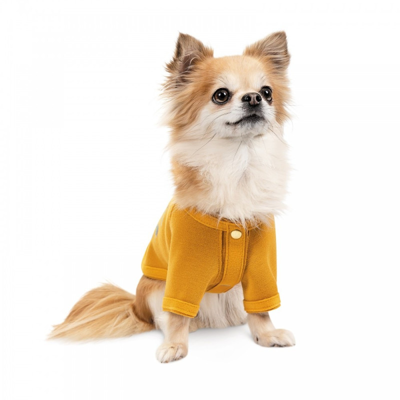 Кардиган Pet Fashion Denis для собак розмір XS жовтий