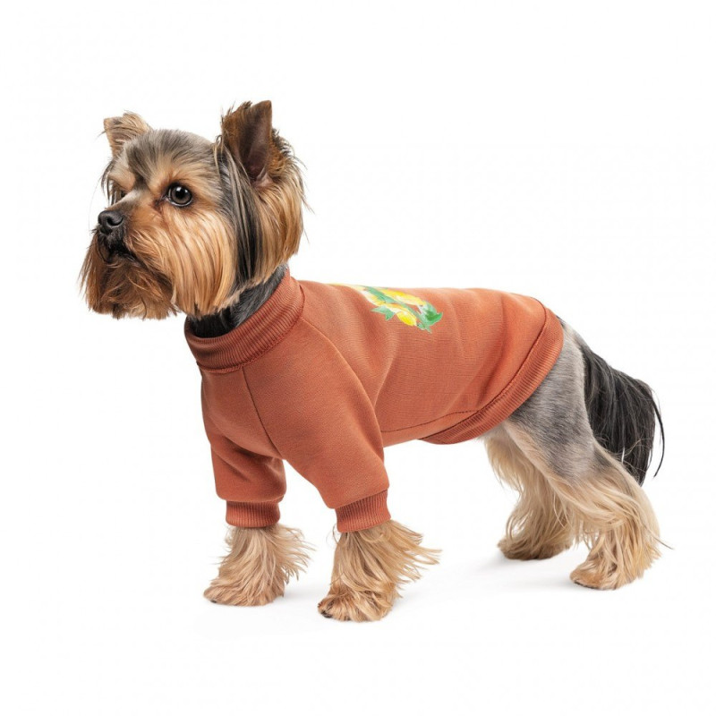Толстовка Pet Fashion Miley для собак розмір S