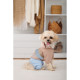 Дощовик Pet Fashion Tina для дівчаток розмір S2 бежевий/блакитний