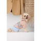 Дощовик Pet Fashion Tina для дівчаток розмір M бежевий/блакитний
