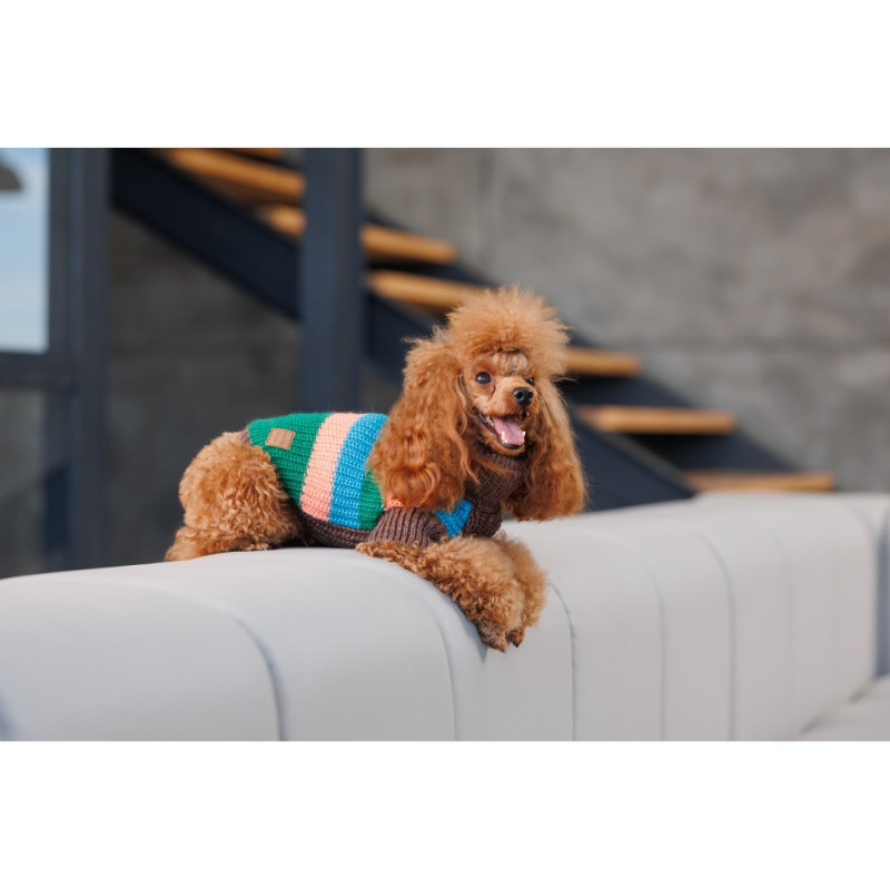 Светр Pet Fashion Happy для собак, розмір XL