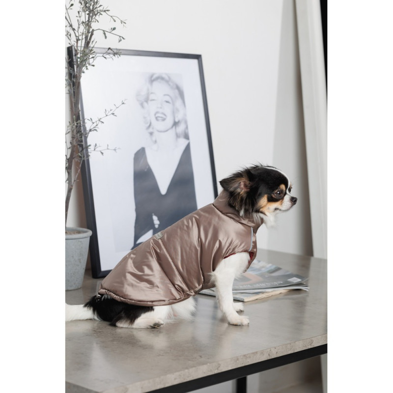 Жилет Pet Fashion Hardy для собак, бежевий XL