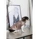 Жилет Pet Fashion Hardy для собак, бежевий XL