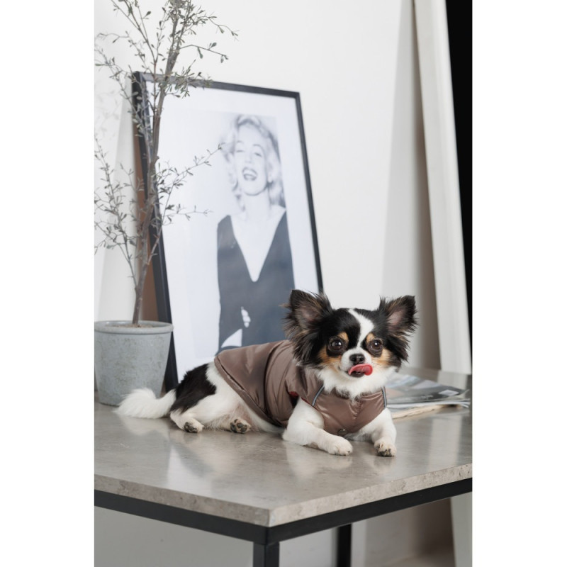 Жилет Pet Fashion Hardy для собак, бежевий M2