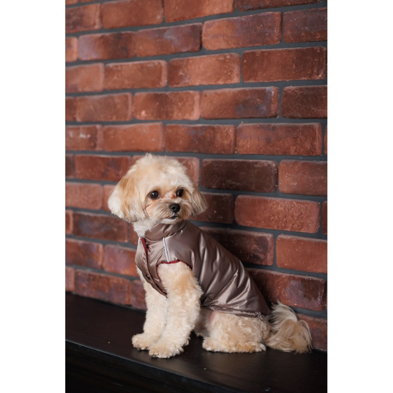 Жилет Pet Fashion Hardy для собак, бежевий M2