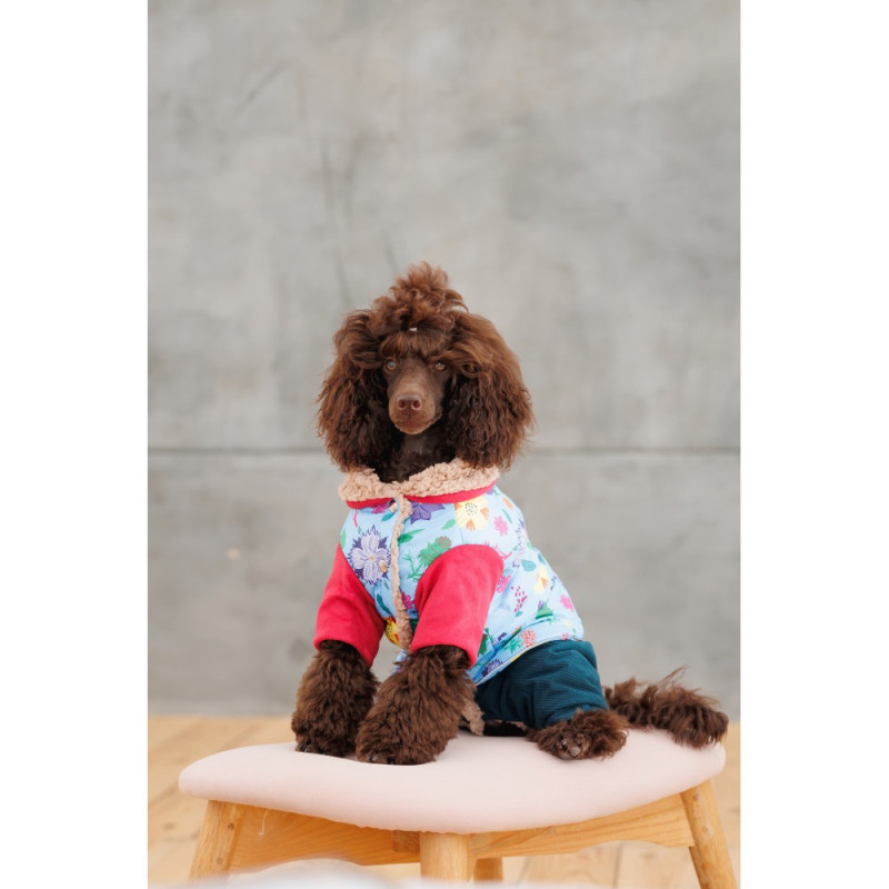 Костюм Pet Fashion Alisa для дівчинки розмір XS
