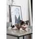 Жилет Pet Fashion Hardy для собак, бежевий S2