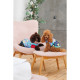 Костюм Pet Fashion Alisa для дівчинки розмір S