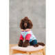 Костюм Pet Fashion Alisa для дівчинки розмір M