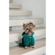 Костюм Pet Fashion Berry для собак розмір XS2