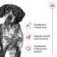 Сухой корм для собак ROYAL CANIN MEDIUM ADULT 7+ от 7 лет средних пород, 15 кг