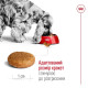 Сухой корм для собак ROYAL CANIN MEDIUM ADULT 7+ от 7 лет средних пород, 15 кг