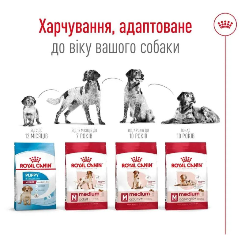 Сухой корм для собак ROYAL CANIN MEDIUM ADULT 7+ от 7 лет средних пород, 15 кг