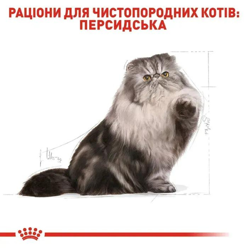 Сухой корм для котов ROYAL CANIN PERSIAN ADULT породы Персидская, 4 кг