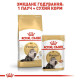 Сухой корм для котов ROYAL CANIN PERSIAN ADULT породы Персидская, 4 кг