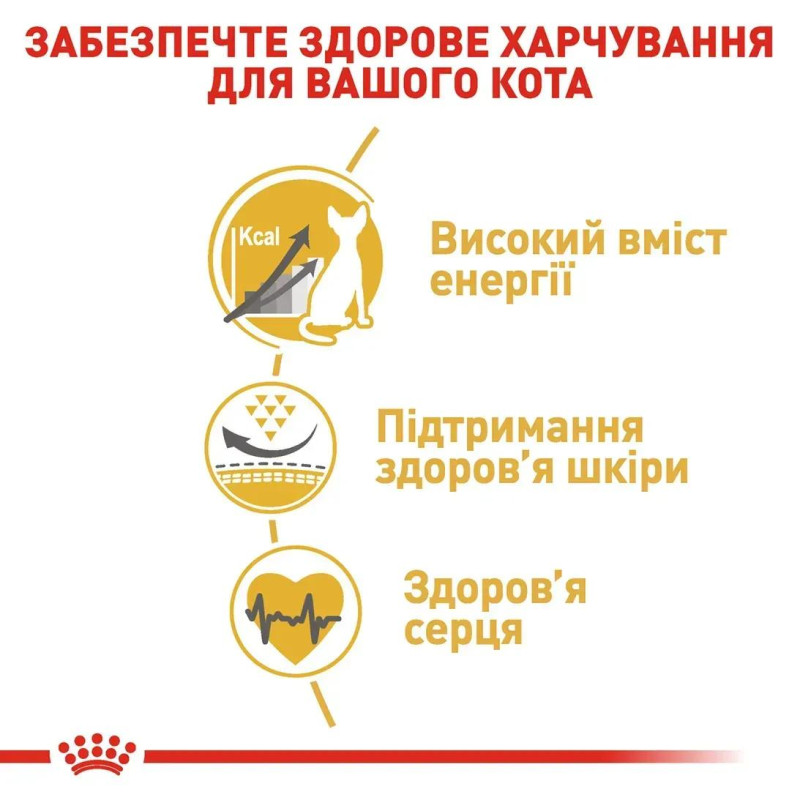 Сухой корм для котов ROYAL CANIN SPHYNX ADULT породы Сфинкс , 400 г