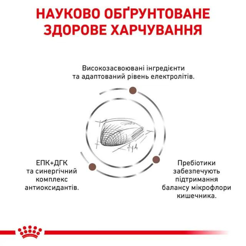 Сухой корм для котят ROYAL CANIN GASTROINTESTINAL KITTEN для поддержания ЖКТ, 2 кг
