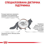Сухой корм для котят ROYAL CANIN GASTROINTESTINAL KITTEN для поддержания ЖКТ, 2 кг