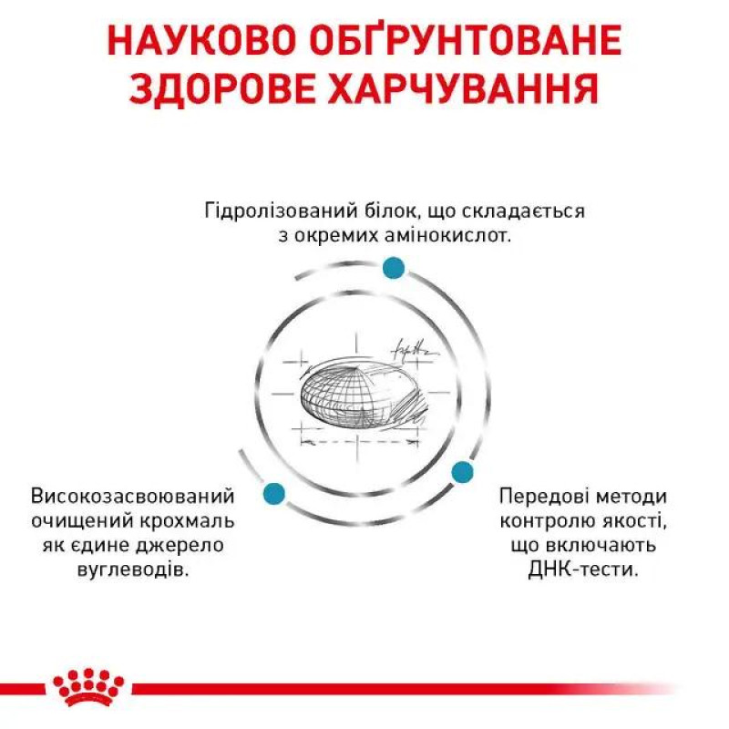 Сухой корм для собак ROYAL CANIN SKIN CARE  для поддержания кожи и шерсти, 2 кг