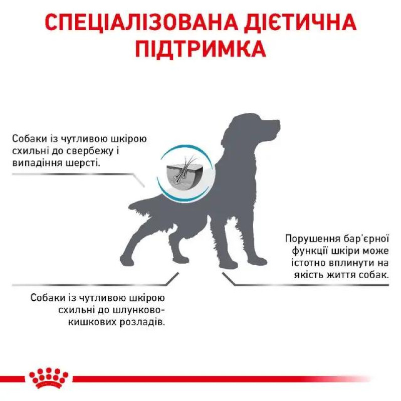Сухой корм для собак ROYAL CANIN SKIN CARE  для поддержания кожи и шерсти, 2 кг
