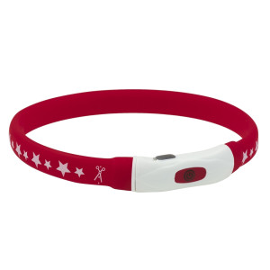 Нашийник AnimAll LED-S з підсвічуванням, підзарядкою USB, для собак малих порід, 40 см, червоний