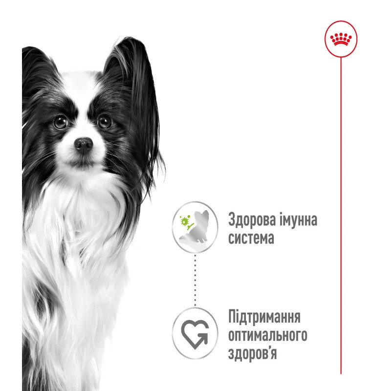 Влажный корм (в соусе) для собак ROYAL CANIN XSMALL ADULT миниатюрных пород, 85 г