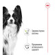 Влажный корм (в соусе) для собак ROYAL CANIN XSMALL ADULT миниатюрных пород, 85 г